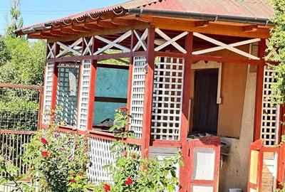 Casa si teren 3567 mp cu piscina, livada si helesteu  Corlatesti - 6