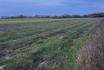 Teren frumos Cihei 500 mp Teren frumos Cihei 500 mp - 1