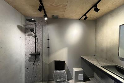 IMOBIL CU 3 APARTAMENTE || DESIGN MODERN || VERSATILITATE || DOROBANTI - 21