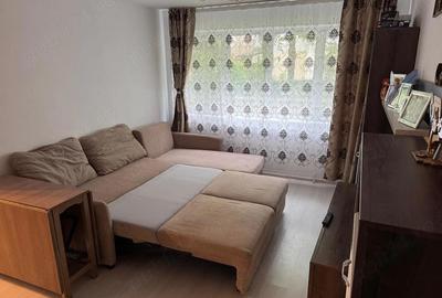 Apartament cu 2 camere semidecomandat în Aleea Trandafirilor - 9
