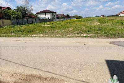 Teren intravilan 1.7 ha Dragomiresti Vale-Zurbaua, deschidere 34m la strada asfa - 6