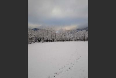 House for sale, 5 Rooms, 180 sqm, Valea Dejani - 10