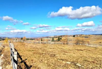 Teren de 3269 mp, în Mărișel - 2