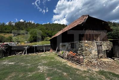 Casa cu 6000 mp teren, Poiana Ampoiului - Metes - 5