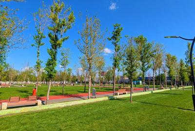 Garsoniera decomandata, disponibila imediat, prima inchiriere, Berceni - 15