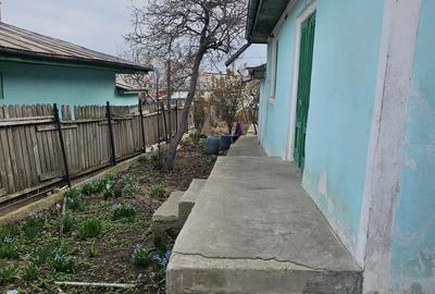 Casa batraneasca cu teren - 4