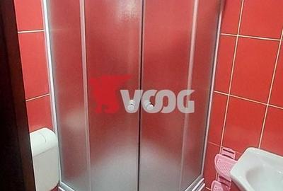 Garsonieră decomandată în Badea Cârțan - 5