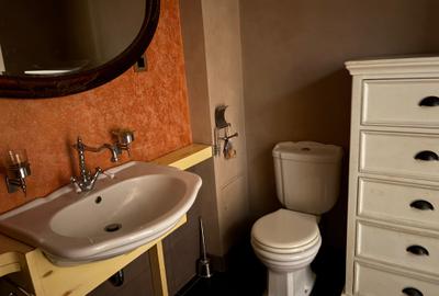 Apartament cu 2 camere decomandat, mobilat în Centrul Istoric - 15