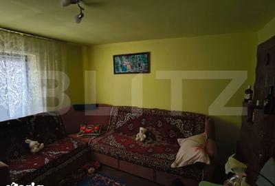 Casă cu 4 camere decomandat cu Teren 2000 Mp în Leu - 16