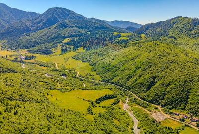 Teren 128.000 mp-Sacele-zona Garcini/ Intravilan - 1