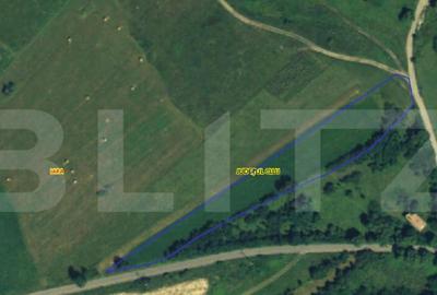 Teren extravilan 5008 mp, in Iara - 2