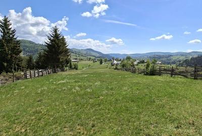 Teren de 2000 mp, în Arieșeni - 5