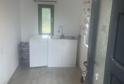 Casă cu 3 camere în Buhoci - 7