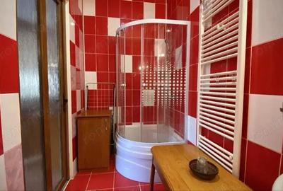 Apartament cu 2 camere la casa, Pet Friendly, situat central - pe Strada Lunga - 6