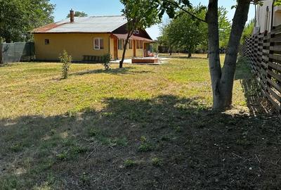 Propietar vand Casa Vadu Anei Branesti 1480 m2 , Gaze , Curent , Put , fosa centrala - 1