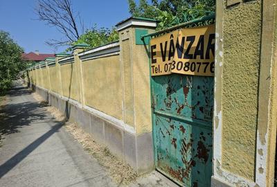 CASĂ MARE in Nadlac cu teren generos 2095mp - 6