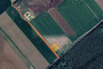 Teren intravilan 1750 m? - CLINCENI - ILFOV