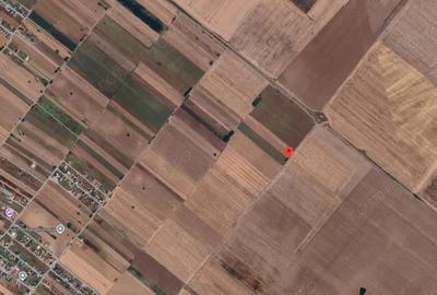 Teren Extravilan In Rate Primaverii Com. Berceni | 10.000mp | #EG51 - 3