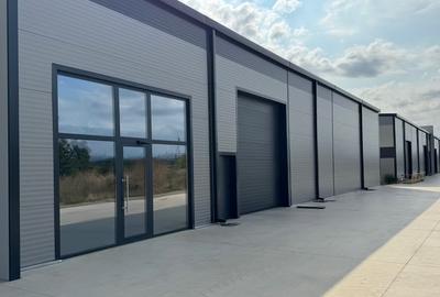 Spațiu industrial, în Chitila - 3