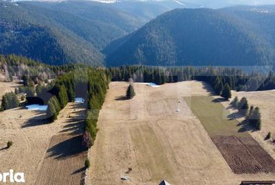 Teren de 10909 mp, în Râșca - 12