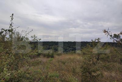 Teren de 9000 mp, în Central - 2