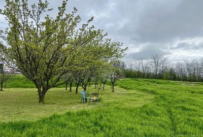 Spațiu comercial, în Curcani - 3