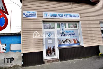 Spatiu comercial si birou 100 mp. - 5