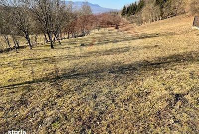 Teren de 6900 mp, în Ocna Șugatag