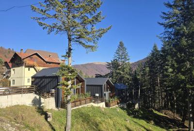 Casă cu 2 camere cu Teren 150 Mp în Furnica - 16