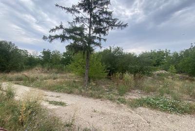 Teren Construcții intravilan de 100000 mp, în Central - 5