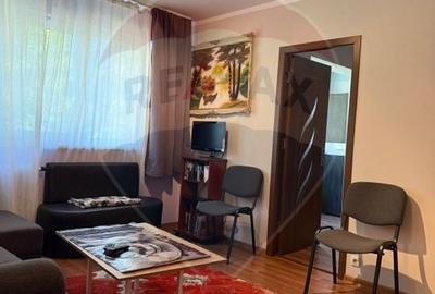 Apartament cu 2 camere de vanzare in zona George Enescu - 3