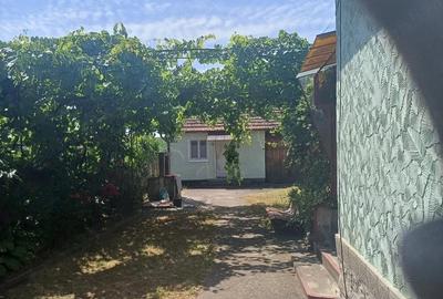 Casă cu Teren 2000 Mp în Saca - 5