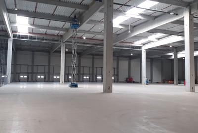 Spațiu industrial, de 7,000 mp, în Sud-Est - 2