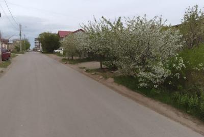 Teren de 500 mp, în Bragadiru - 2