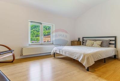 Cabana de vanzare -Marisel, 10 camere, terasa 41mp, piscina, ciubar - 18