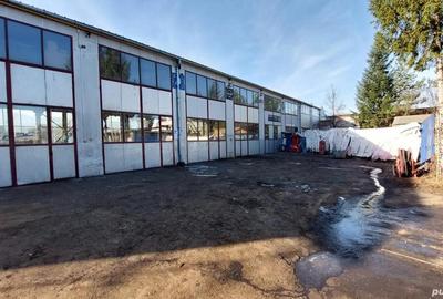 Hala industriala de inchiriat pe Calea Bucuresti folosinta multipla - 8