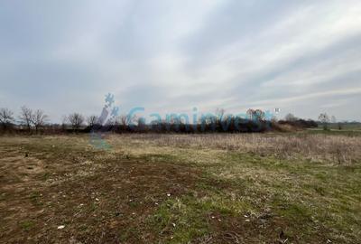 Teren Construcții intravilan de 5700 mp, în Oșorhei - 1