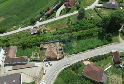 Spațiu comercial, de 2,500 mp, în Sângeorgiu de Pădure - 20