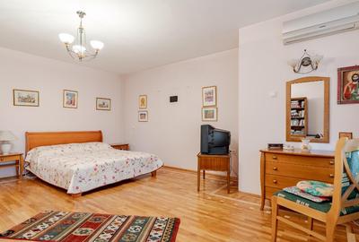 Vila familiei unite, piscina, cabana, Snagov - Ciofliceni - 9