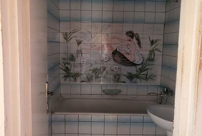 Apartament cu 2 camere în Ultracentral - 2