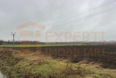 Teren Construcții extravilan de 5000 mp, în Lumina - 1