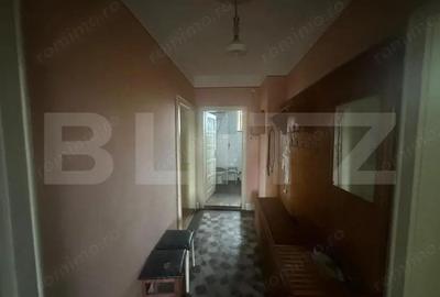 Casă cu 4 camere cu Teren 6197 Mp în Viile Satu Mare - 13