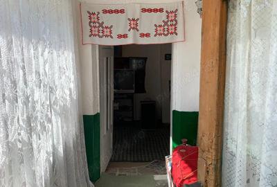 Casă cu 3 camere în Gruiu - 5