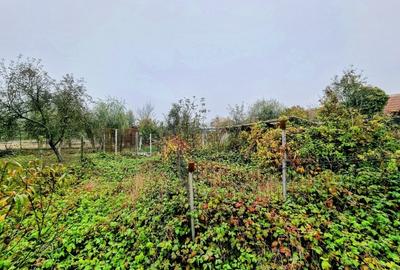 Casă mare, Parter + Etaj, la Vasiova, pe strada Principală (Tudor Vladimirescu) - 12