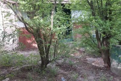 Vand casa cu teren Socodor , jud.Arad - 2