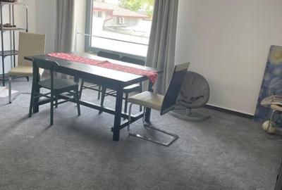 SPATIU DE INCHIRIAT TIMURI NOI-TINERETULUI - 8