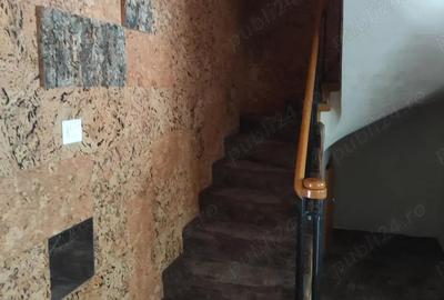 Casă cu 5 camere cu Teren 243 Mp în Herăstrău - 11