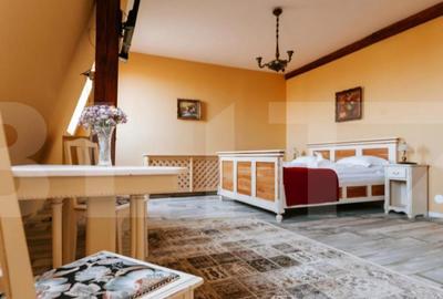 Conac de vanzare 7 camere cu bai proprii, crama, ciubar ? - 10