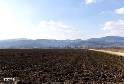 Spațiu comercial, în Vulcan - 16