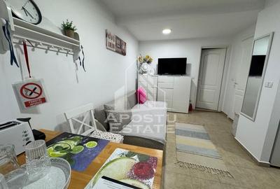 Apartament cu o camera, centrala proprie, AC, zona Lipovei - 3